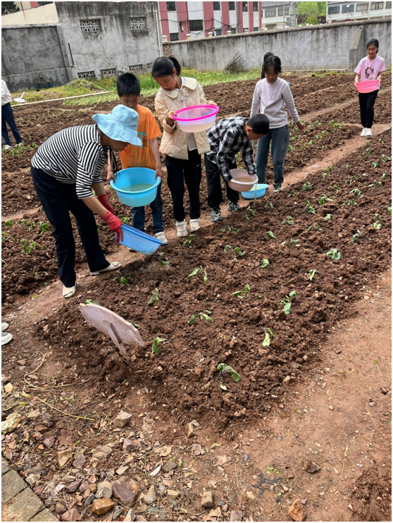 ����(zh��n)����С�W(xu��)����СС���r(n��ng)���W(xu��)�N�������Nϣ������L���DƬ��