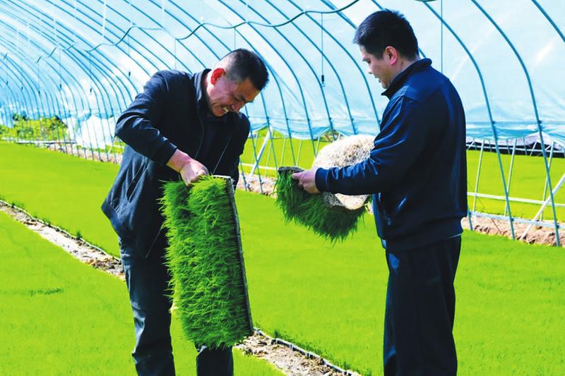 ��ӛ���߻��ӡ����(zh��n)�p���壺����ӆ��10�f(w��n)�P �Ƽ�����?y��)��r(n��ng)�r(sh��)