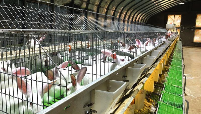 ��ӛ���߻��ӡ����(zh��n)�|���壺�B(y��ng)�á��ġ����¸�·