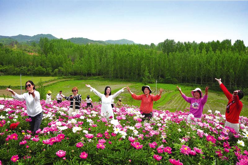 �ݵ��(zh��n)̴ɽ���500����ˎ����(j��ng)��`��