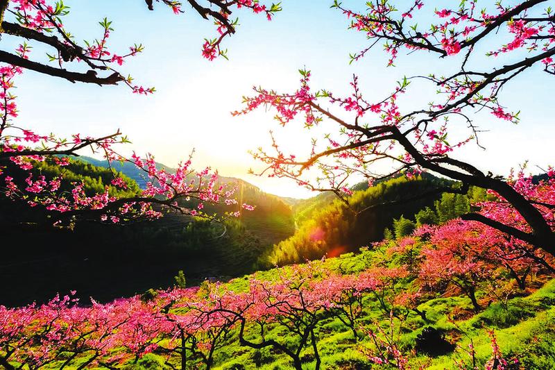 ɽǰ���h�㣬ɽ�����Οᡪ�� �F��ɽ�¡��p��ӛ��