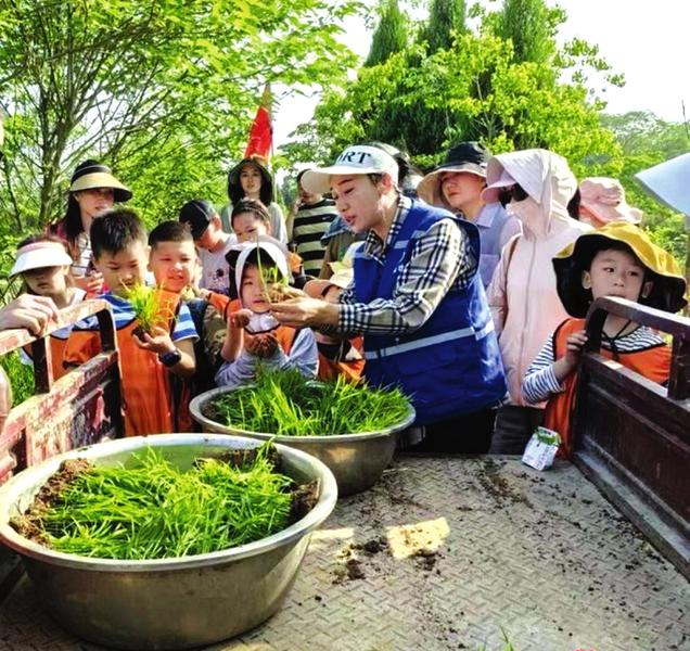 �r(n��ng)���Ļ��w����}����