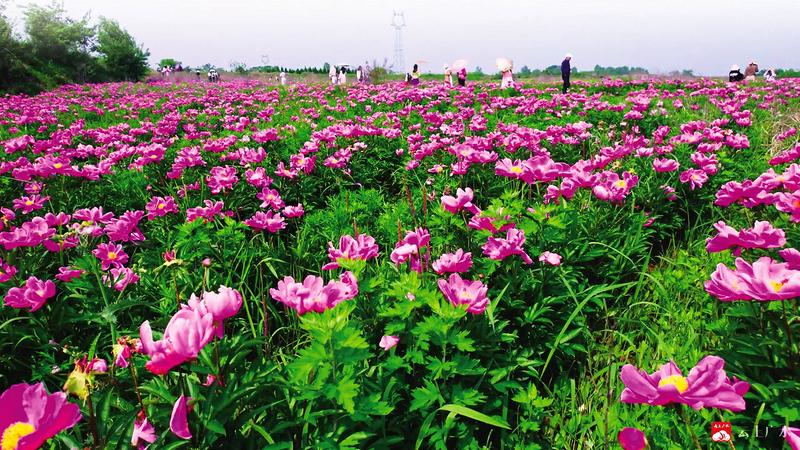 ����(zh��n)�����壺��ˎ�_�������ӽ�(j��ng)��(j��)��