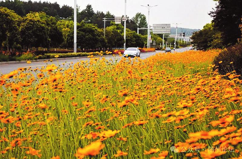 ��犴���s��������