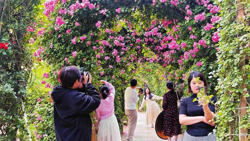 õ�廨�_������