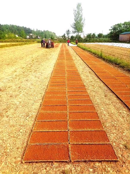 �ε��(zh��n)�����Ӵ塪�� �Ƽ������ �������еך⡱