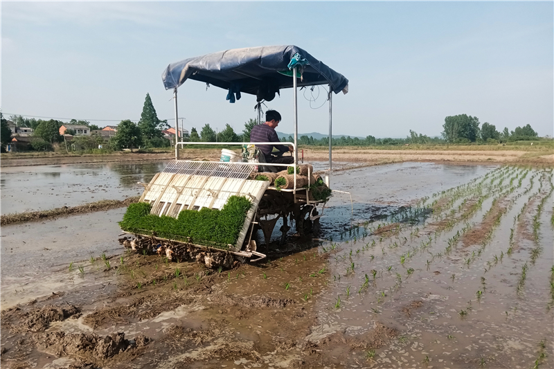 �����^(q��)�����(zh��n)�_չ�r(n��ng)�����a(ch��n)