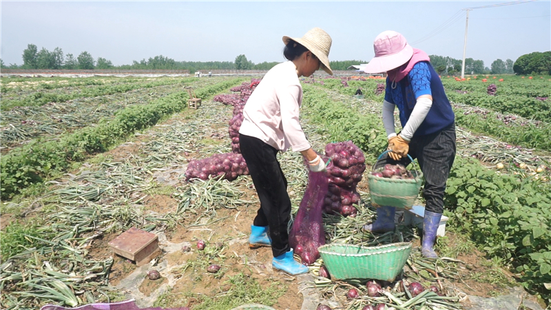 �،��Nֲ�N�