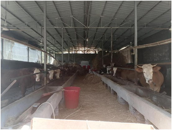 ����������Č��ز鿴���l(xi��ng)��(chu��ng)�I(y��)�Ŀ