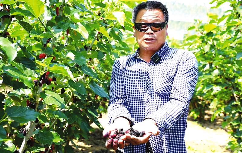 ɣ�ؒ�M֦�^ �������r(n��ng)���Ρ����֡�