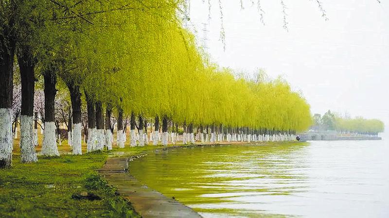 ��ˮ�岨�o�l(f��)չ �������S�h��ν��O���Ҹ�㵐ˮ������ȫ����ˮ���¡�