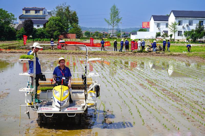 �������{����C����