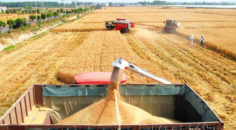 С���߮a(ch��n)���Pʾ��Ƭ�M�Ќ���y�a(ch��n)