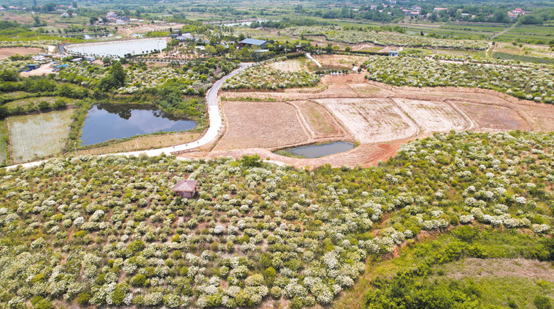 ��ɫ�a(ch��n)�I(y��)����(zh��n)������ �����Vˮ�����(zh��n)�(zh��n)��(j��ng)�����|(zh��)���l(f��)չ�^��