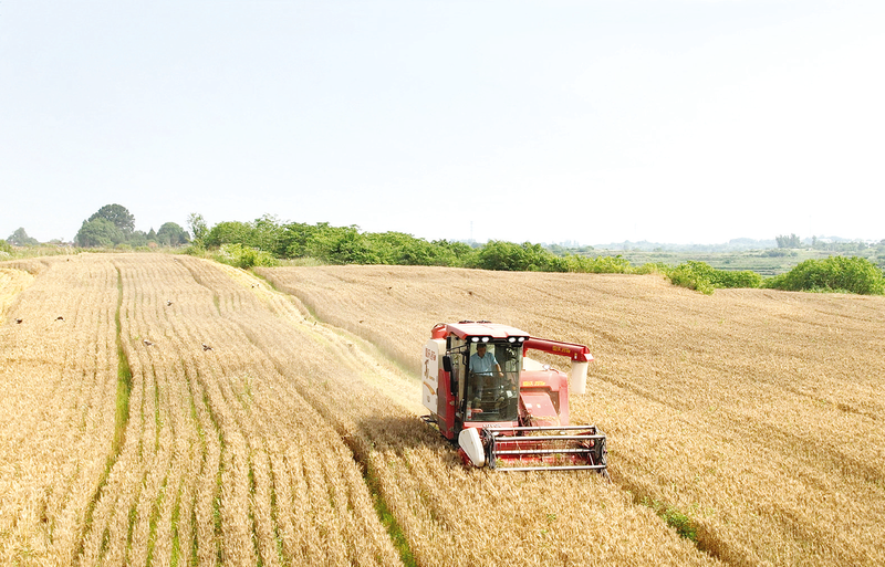 ��ӛ���߻��ӡ��p���壺�l(xi��ng)�������˾ �r(n��ng)�I(y��)���(hu��)������(w��)���S��