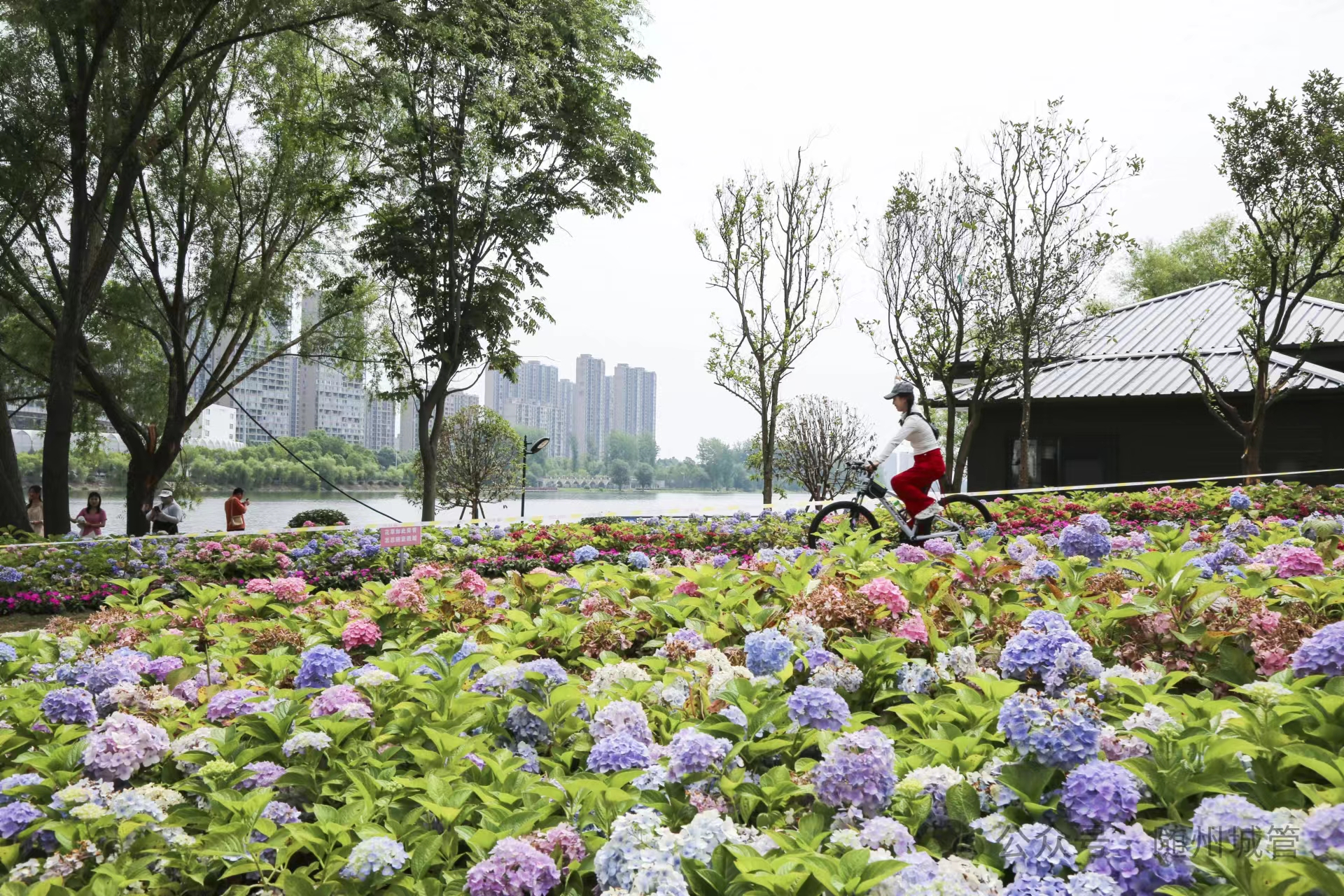 ���ƺ������¾�����Ҋ�C���_����