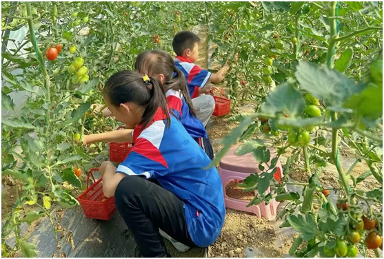 �����(zh��n)��һС�W(xu��)�M���W(xu��)���_(k��i)չ�Ϲ���ժ��(sh��)�`���(d��ng)