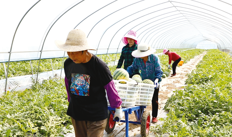 �������ϡ����ۡ�����