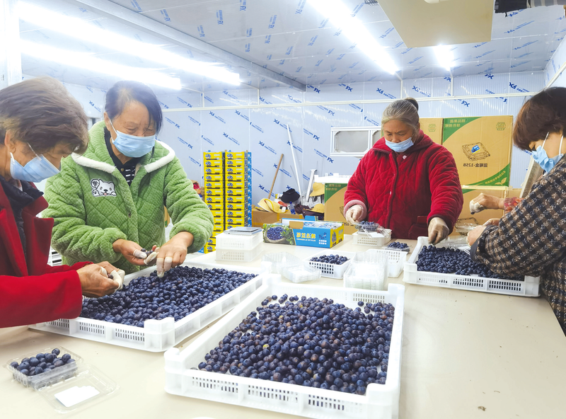 �{ݮ���Ƽ�����׃�����¸�����