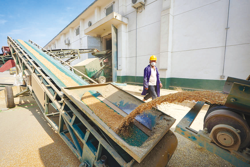 �ļZ��ُæ С��ӯ�M�}