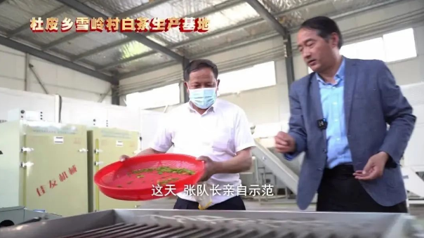 ӛ�S���I(y��)���g(sh��)�W(xu��)Ժ�v�S���ж�Ƥ���һ��ӛ���g(sh��)