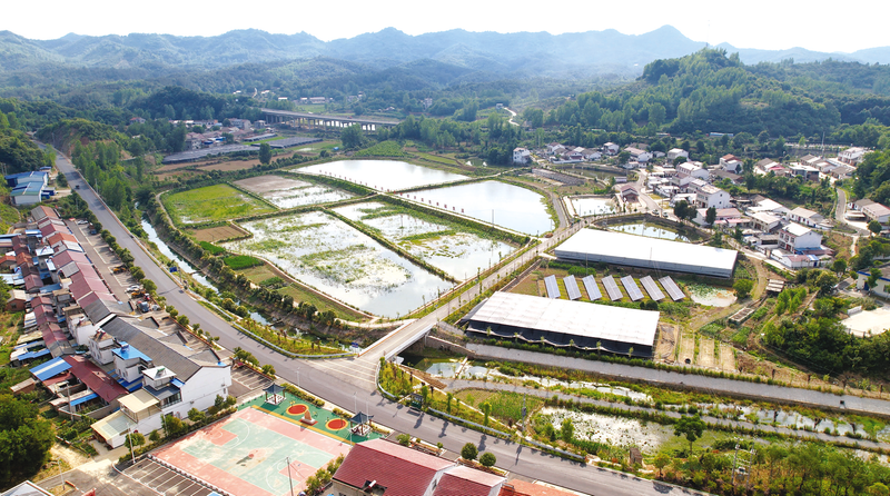 �����(zh��n)����ͬ��������l(xi��ng)�� ���������Ҹ�����