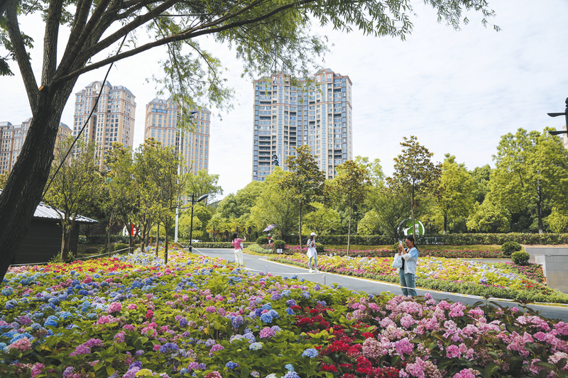 ���ƺ������¾�