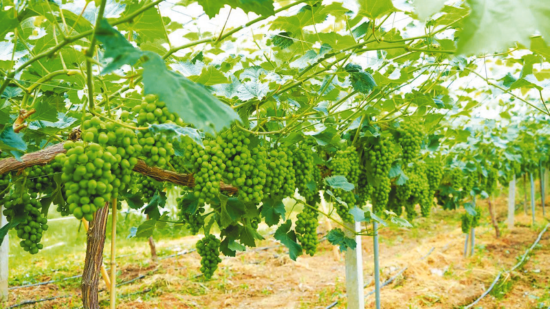 �����(zh��n)�yɽ�´塪�� ���ع��@�����ζ��