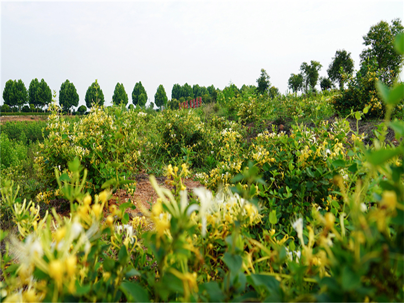 �S�h��̶�(zh��n)�ؘ�(sh��)���壺���y���ɞ���ա��¸�����