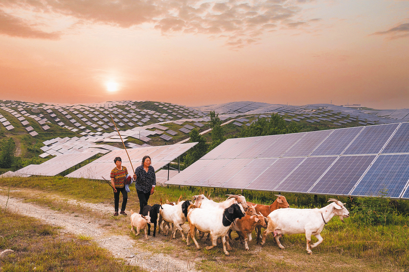 �����l(xi��ng)����Ҹ�������������l(xi��ng)��zӰ��ِ����(y��u)����Ʒ�x��