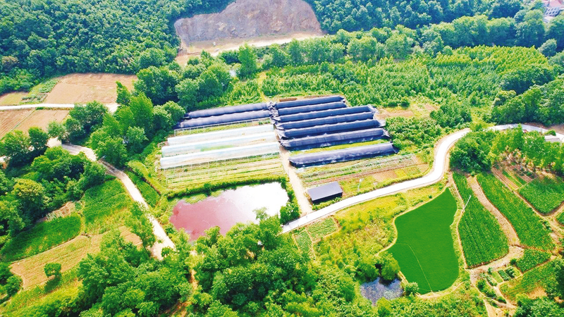 �����(zh��n)����״壺�����㹽�N���á��X����