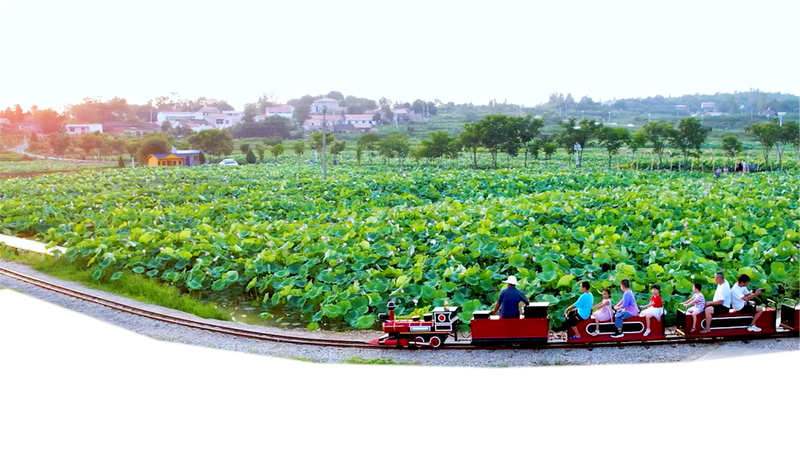 ��ͬ���조���d���� �����Vˮ���á��干�������L�ͺ����l(xi��ng)���®���ӛ��