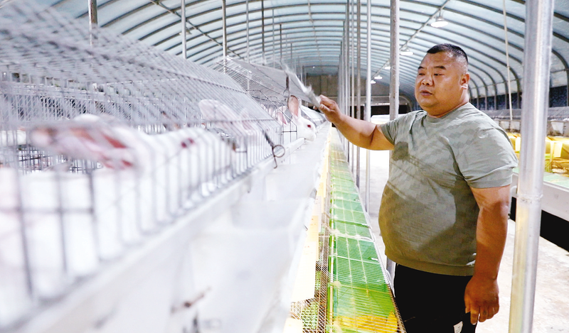 ���(zh��n)�|���壺�B(y��ng)ֳ���Ҹ��á������¸�·