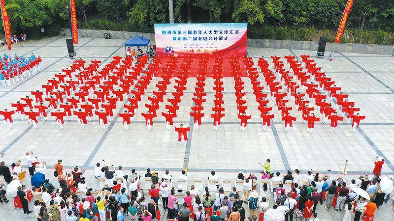 �������w���������(hu��)