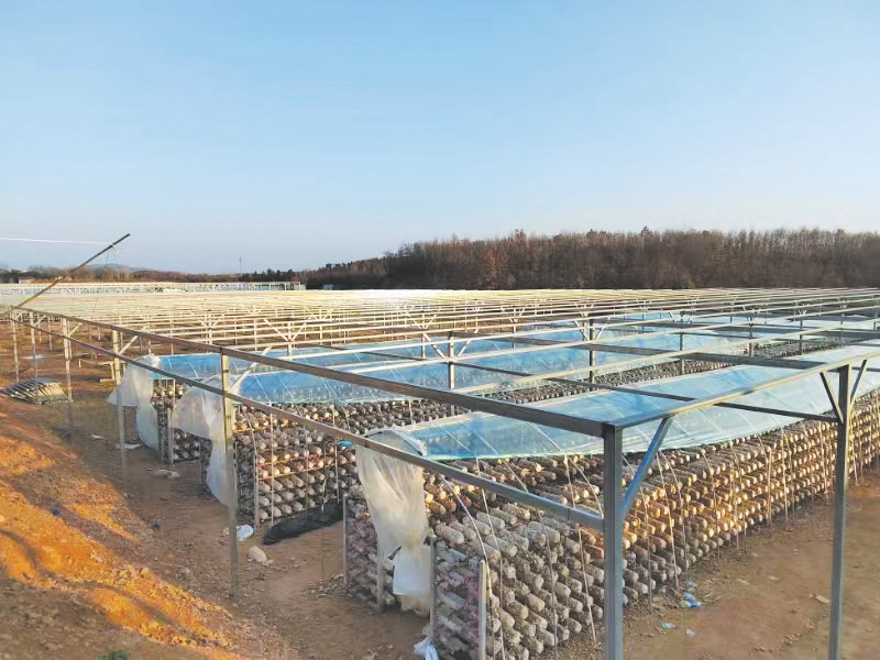 ���ϡ��L(f��ng)�ڡ��a(ch��n)�I(y��)�d �����Vˮ�кµ��(zh��n)�h�����I(l��ng)�l(xi��ng)��a(ch��n)�I(y��)���|(zh��)���l(f��)չ�^��