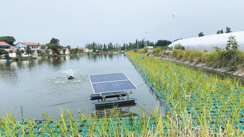 ����(zh��n)�טǴ塪�� ۏ���l(xi��ng)�����d���Ρ���·