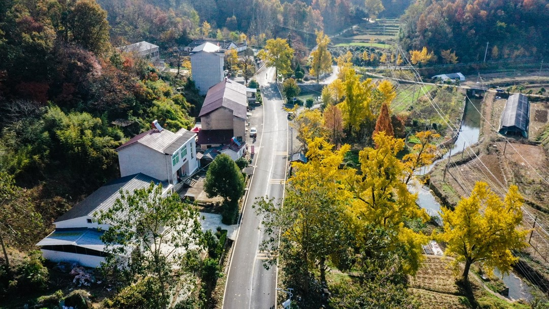 ������ͨ�����ĺ��r(n��ng)��·�����|(zh��)���r(n��ng)��l(f��)չ��(d��ng)��