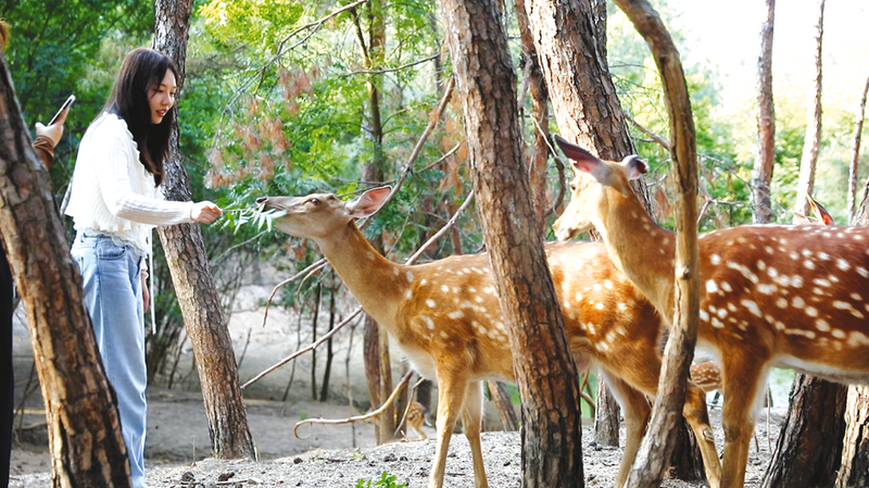 ��ɫ�a(ch��n)�I(y��)�����ա��� ���(zh��n)��Ѵ��¸��С�¹��