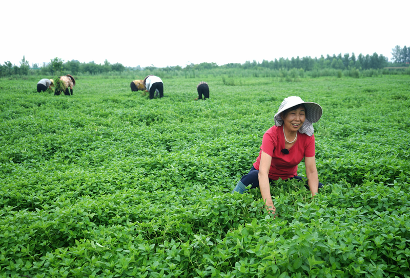 �Ͻ��ֵ��tɽ�^�塪�� ������ӯ�¸�·