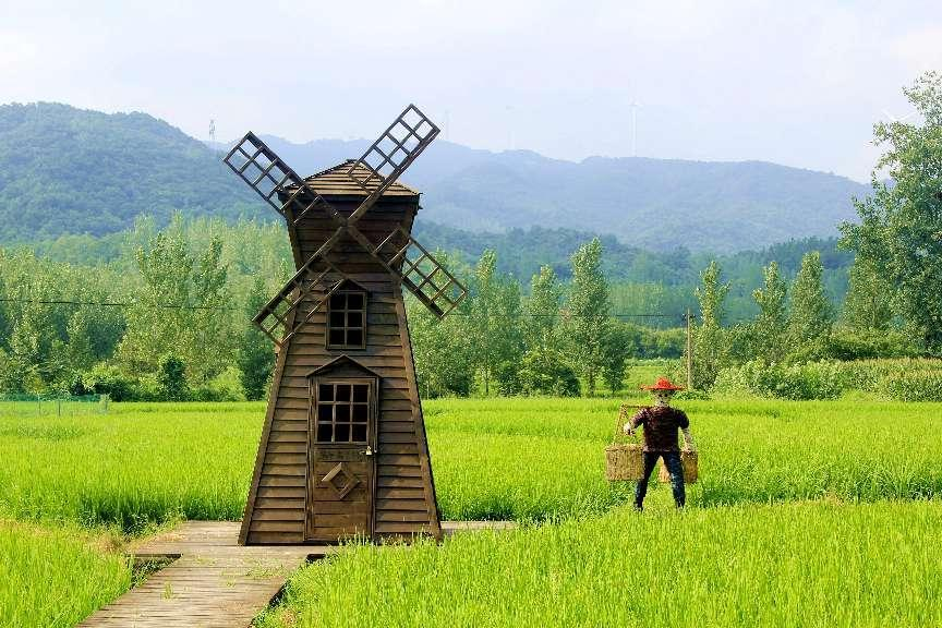 �ݵ��(zh��n)�¼�կ������Ŵ������