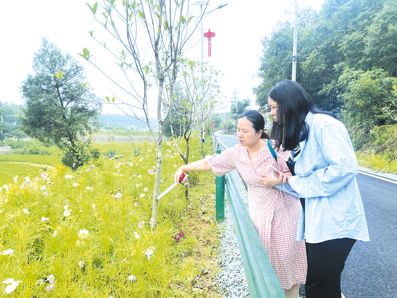 �����l(xi��ng)�彨�O(sh��)��(zhu��n)�(xi��ng)��Ӌ(j��)