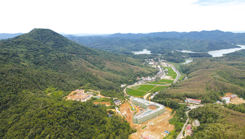 �Ї����y(t��ng)����ſ��ߴ塪�� ��ɫ�tɫ���xӳ ���аl(f��)չ�L�¾�