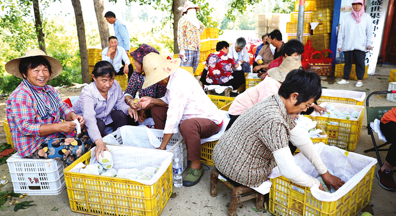 �f(w��n)���(zh��n)���� ���������r���� ��ժ����(d��ng)�r(sh��)