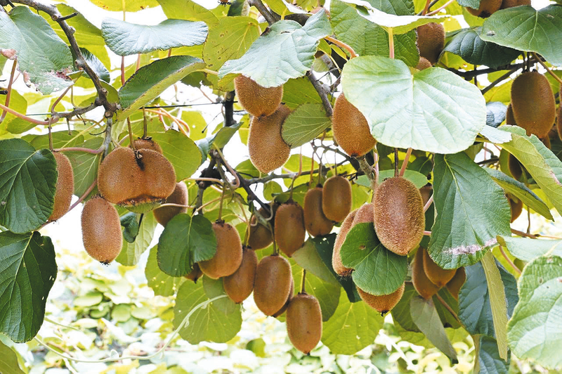 ���A�գ�����Ů��׃���r(n��ng)�I(y��)�������