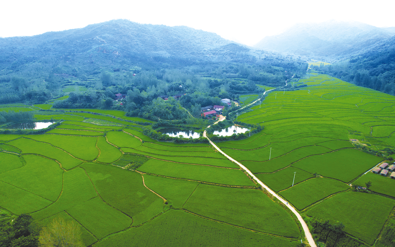 �ݵ��(zh��n)�����Ӵ�N���㵾�¸��ġ��N�ӡ�