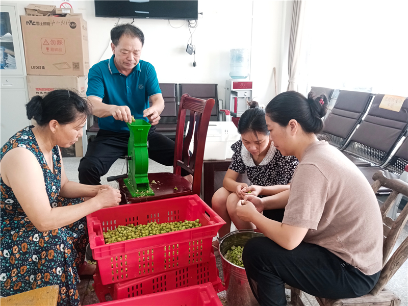 �Ѵ�弉���w��(j��ng)��(j��)