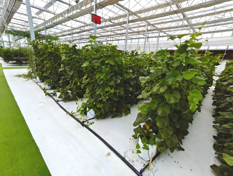 ���h��朡����𡰮a(ch��n)�I(y��)朡� �����S�h�����(zh��n)�h���x���߲ˮa(ch��n)�I(y��)���|(zh��)���l(f��)չ�Č�(sh��)�`