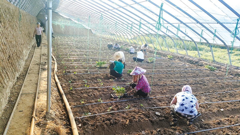 �ǵ��(zh��n)֥�鞳�壺���ی����N���á��X����