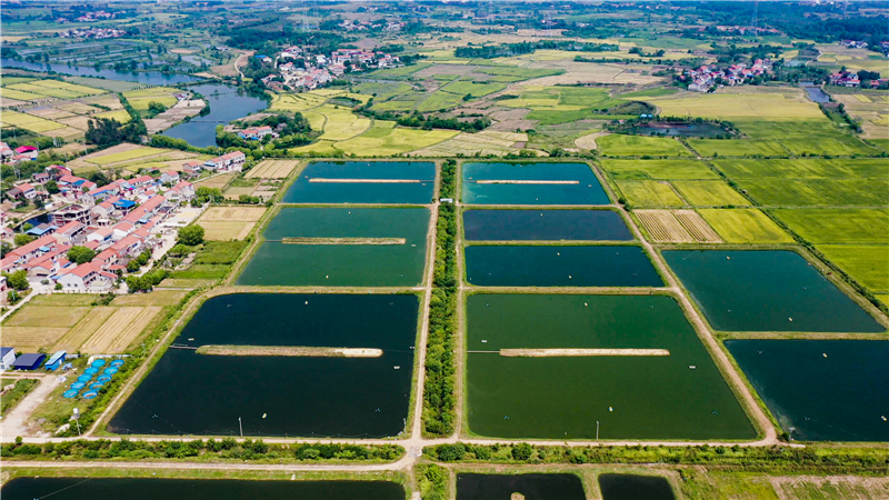 �����S���S�ռ�|�Vˮ�@��Сɽ���B(y��ng)�������׌��r