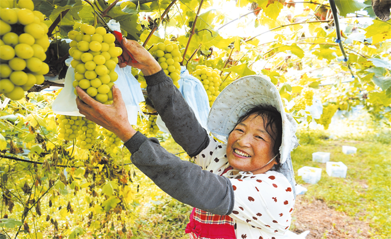 �����S���S�ռ� ����ɽ�(zh��n)�����r(n��ng)������ꖹ�õ�塱������